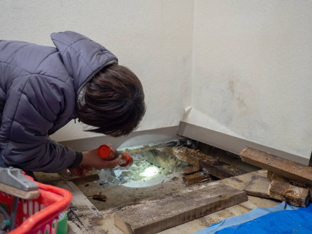 Best Air Quality Testing for Mold Spores  in Enon, OH