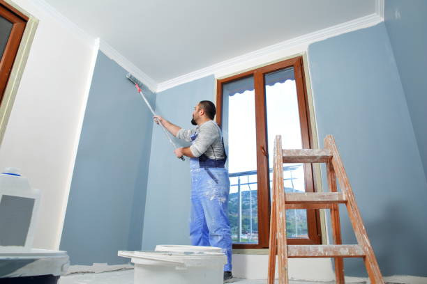 Best Water Damage & Mold Remediation  in Enon, OH