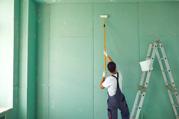 Environmental Consulting for Mold Prevention in Enon, OH