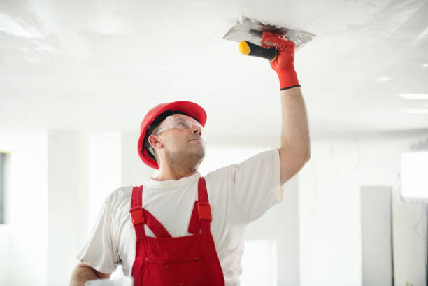 Best Mold Remediation for Rental Properties  in Enon, OH