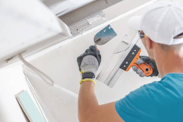 Best Black Mold Removal  in Enon, OH